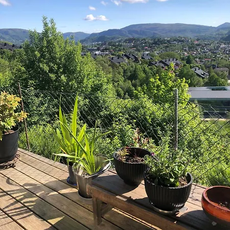 Leilighet With Garden House